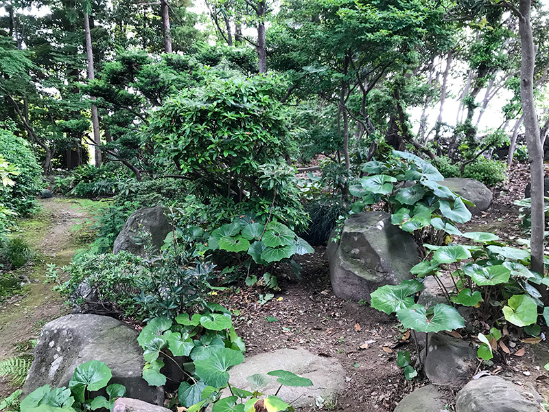 石川県野々市市「Tree+ing Cafeフクロウの森」