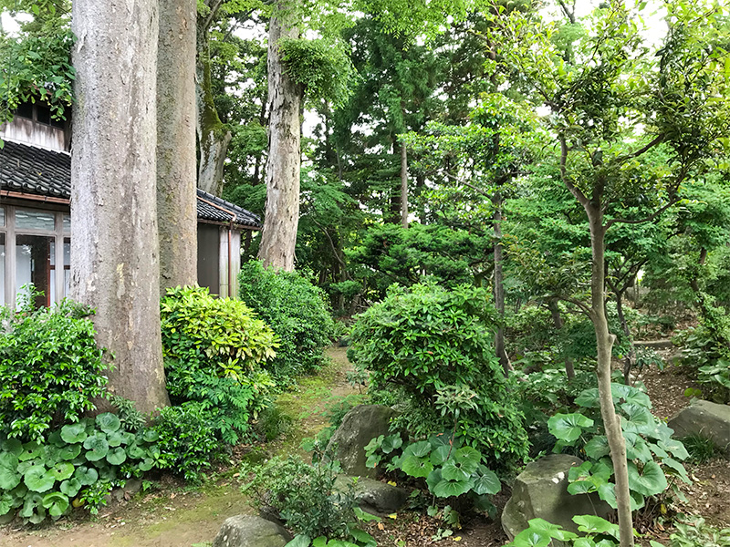 石川県野々市市「Tree+ing Cafeフクロウの森」