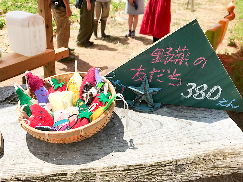 富山いちご狩り八百楽農園（やおらのいちご）