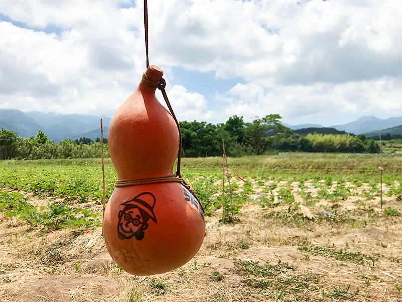 富山いちご狩り八百楽農園（やおらのいちご）