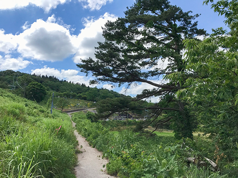 桜ヶ池公園