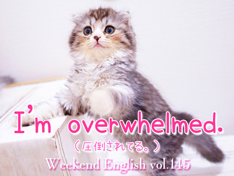 週末英語（weekend english）「i am overwhelmed（圧倒されてる）」