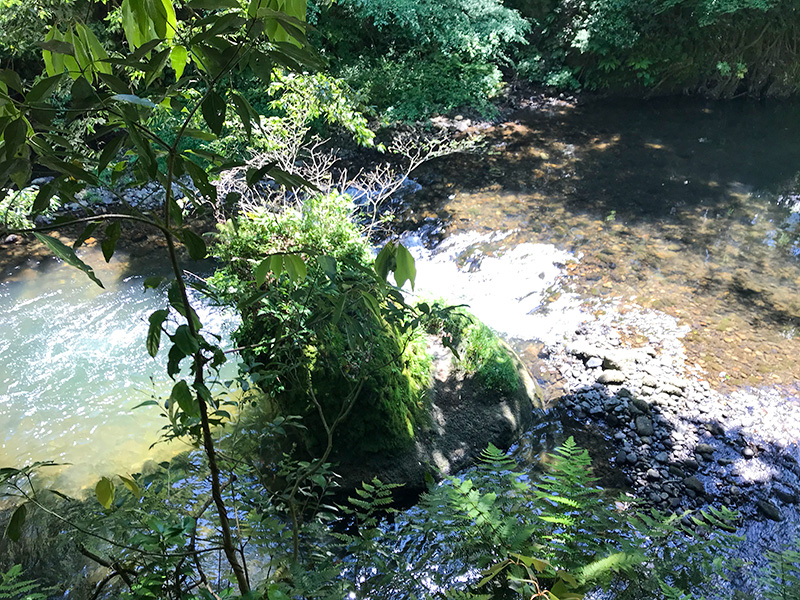 山中温泉こおろぎ橋