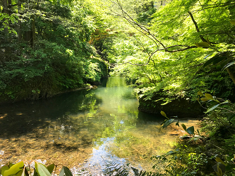 山中温泉こおろぎ橋