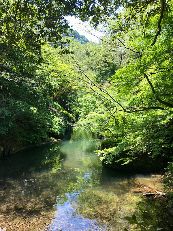 山中温泉こおろぎ橋