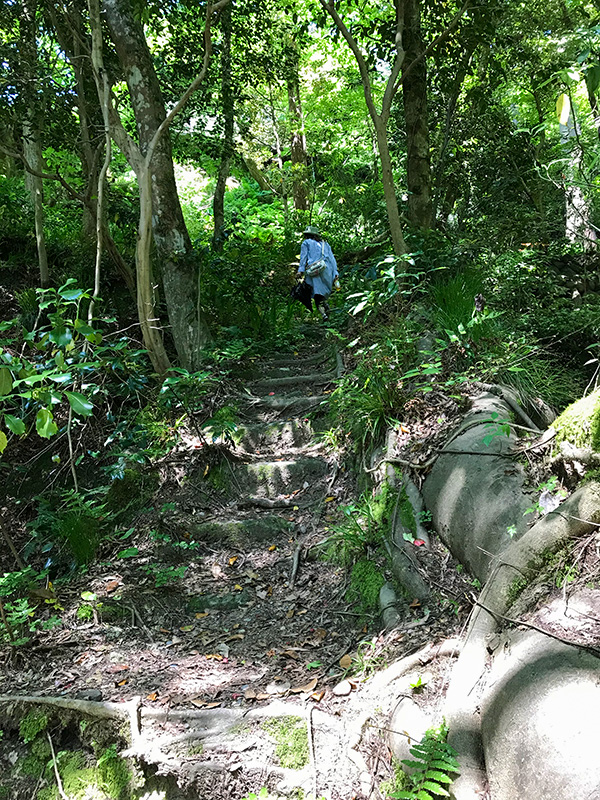 山中温泉こおろぎ橋