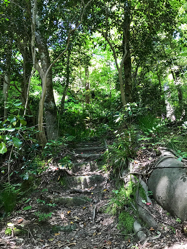 山中温泉こおろぎ橋