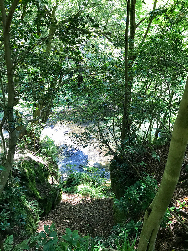 山中温泉こおろぎ橋