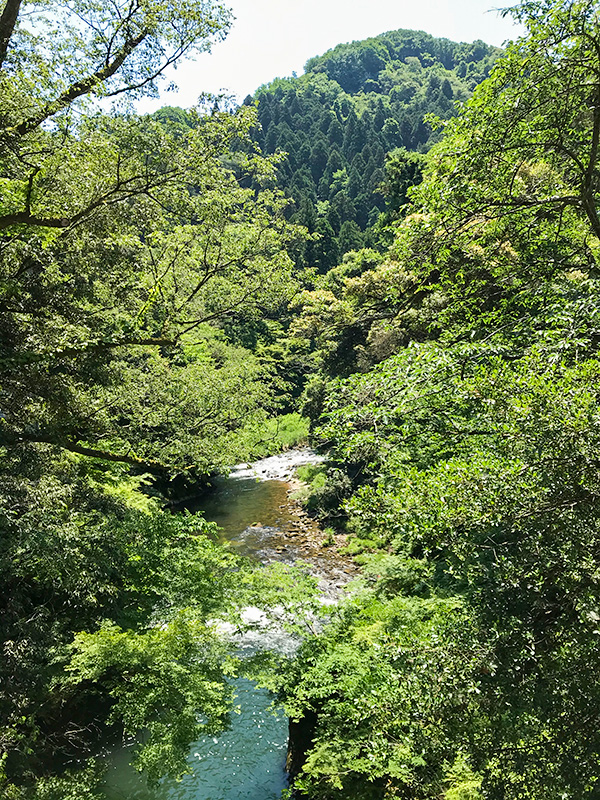 山中温泉こおろぎ橋