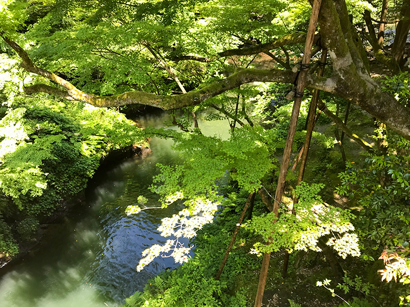 山中温泉こおろぎ橋