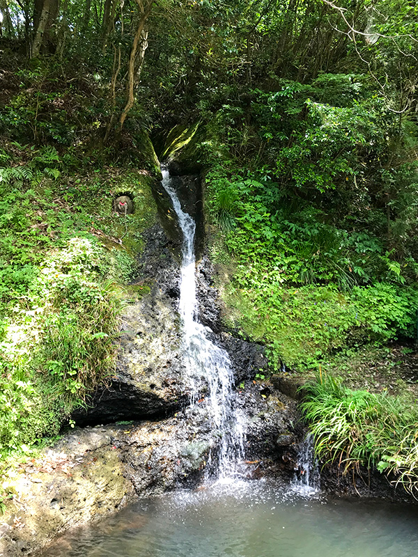 山中温泉鶴仙渓川床