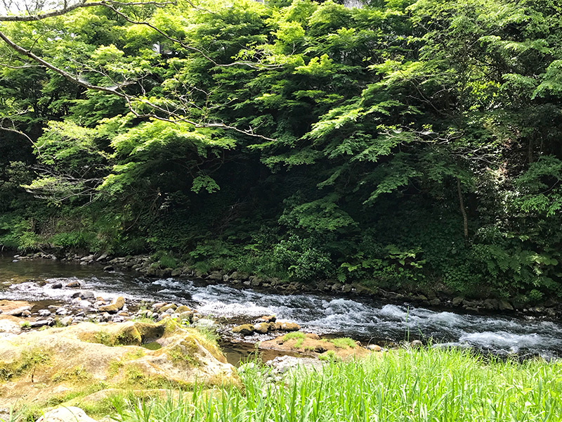 山中温泉鶴仙渓川床