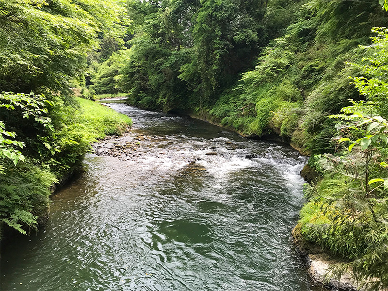 山中温泉鶴仙渓あやとり橋