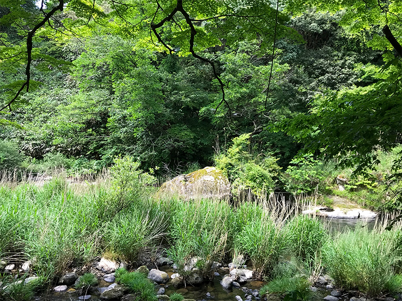 山中温泉鶴仙渓あやとり橋