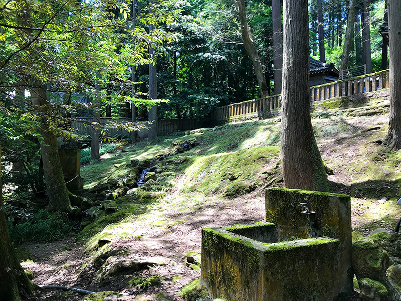 山中温泉・長谷部神社