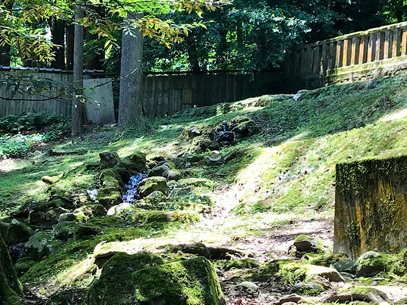 山中温泉・長谷部神社