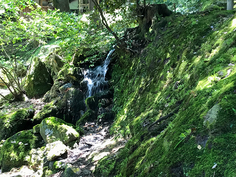 山中温泉・長谷部神社