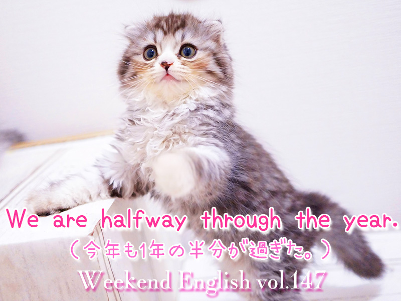 週末英語（weekend english）We are halfway through the year.（1年の半分が過ぎた）