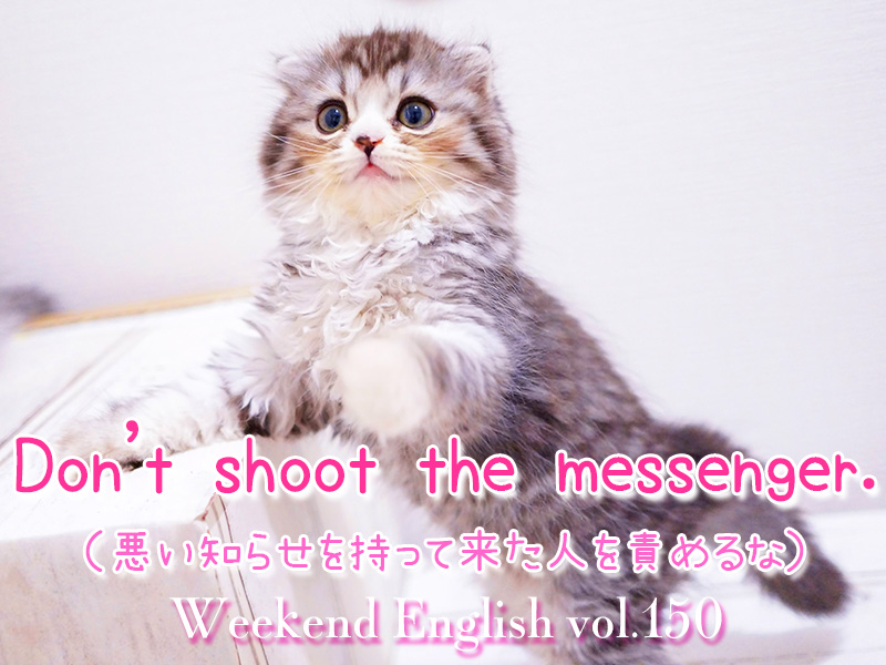 週末英語（weekend english）Don't shoot the messenger.「八つ当たりすんな」