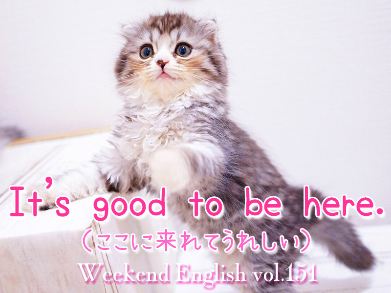 週末英語（weekend english）It's nice/good to be here.