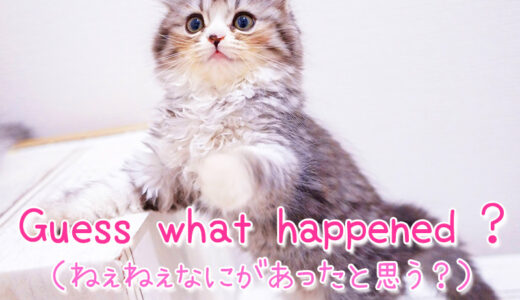 【週末英語#154】話の切り出しや注意を引くときに使える「Guess what happened ?（なにがあったと思う？）」