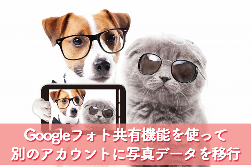 Googleフォト共有機能を使って別のアカウントに写真データを移行