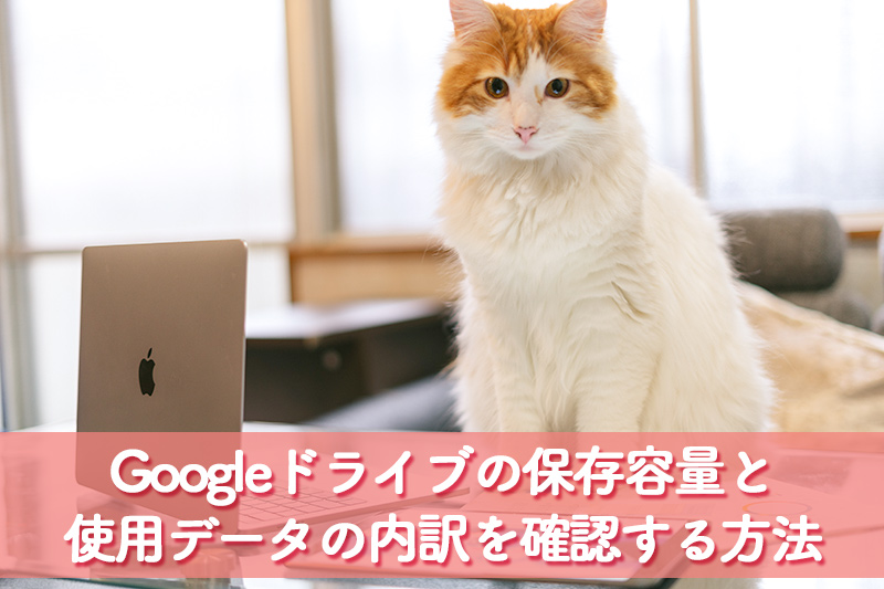 Googleドライブの保存容量と使用データの内訳の確認