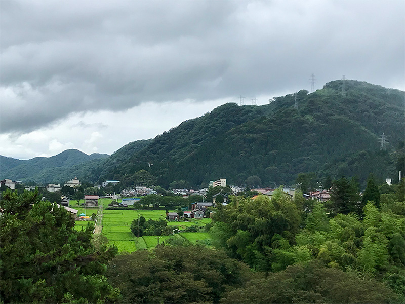 山中温泉湯畑の宿「花つばき」