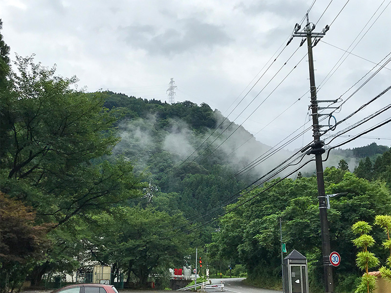 山中温泉湯畑の宿「花つばき」