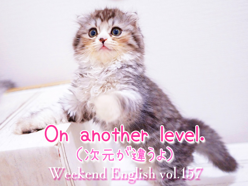 週末英語（weekend english）On another level.（次元が違う）