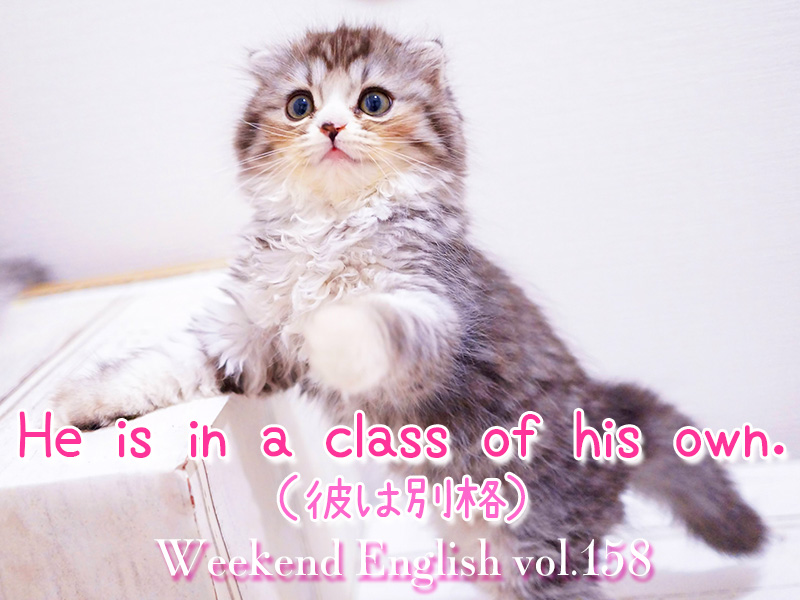 週末英語（weekend English）He is in a class of his own.（彼は別格）