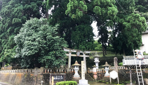 【加賀】山中温泉随一のパワースポット栢野（かやの）の大杉は菅原神社にそびえる樹齢2300年の大杉