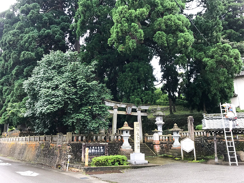 山中温泉・栢野大杉（かやのおおすぎ）