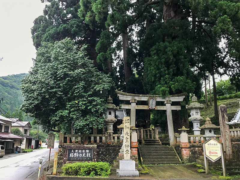 山中温泉・栢野大杉（かやのおおすぎ）