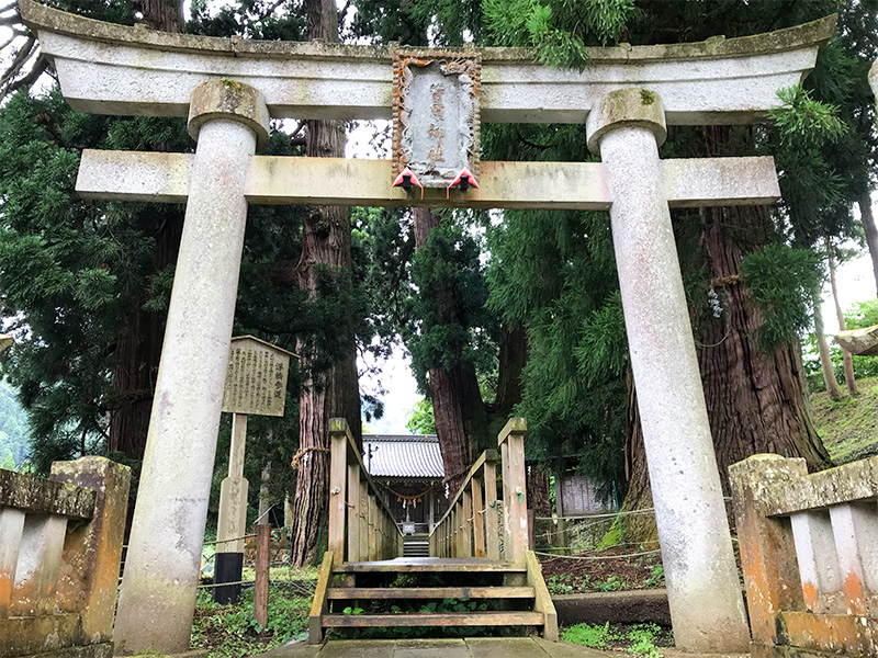 山中温泉・栢野大杉（かやのおおすぎ）