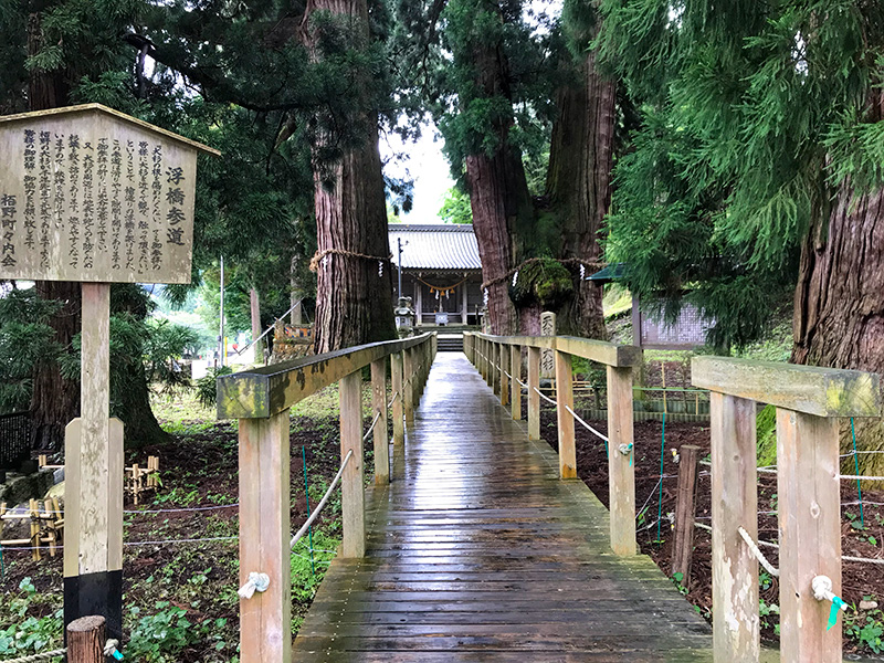 山中温泉・栢野大杉（かやのおおすぎ）