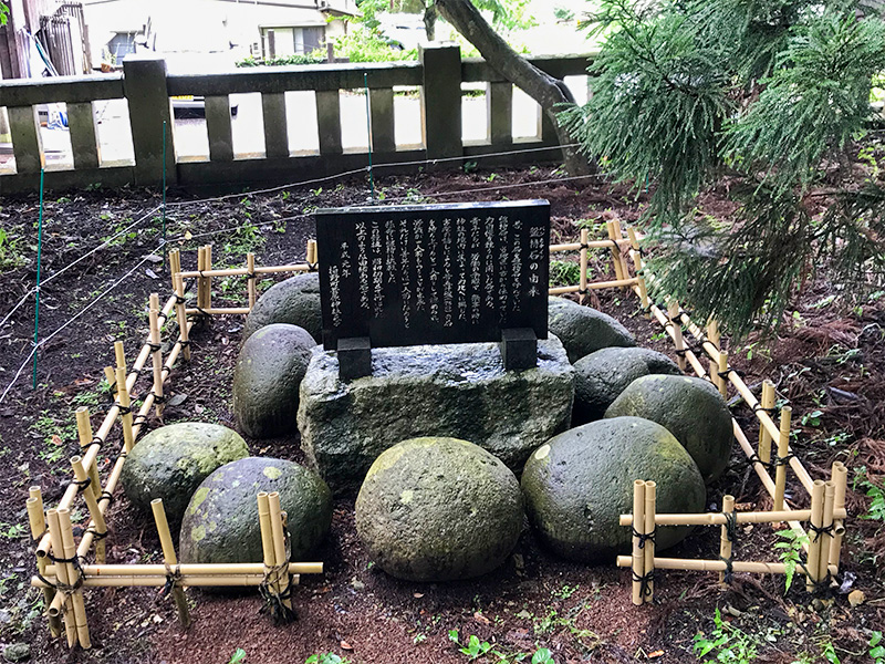 山中温泉・栢野大杉（かやのおおすぎ）