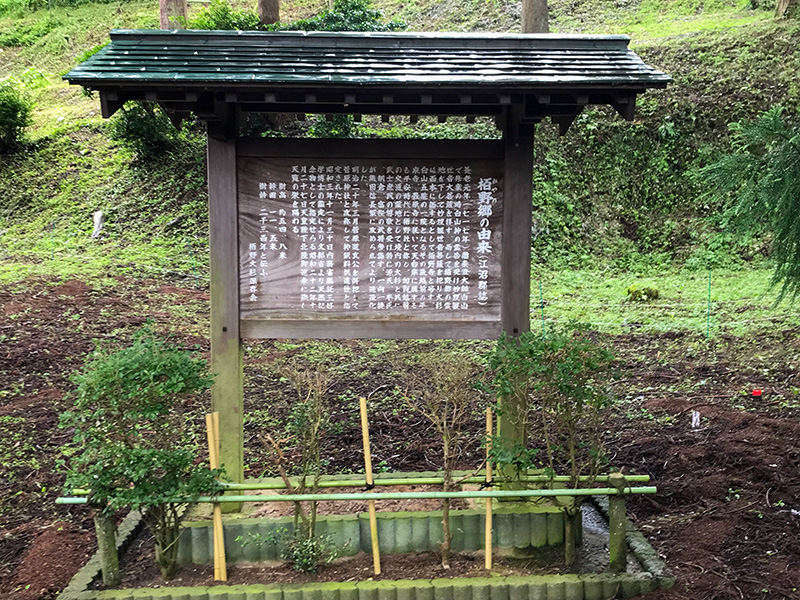 山中温泉・栢野大杉（かやのおおすぎ）