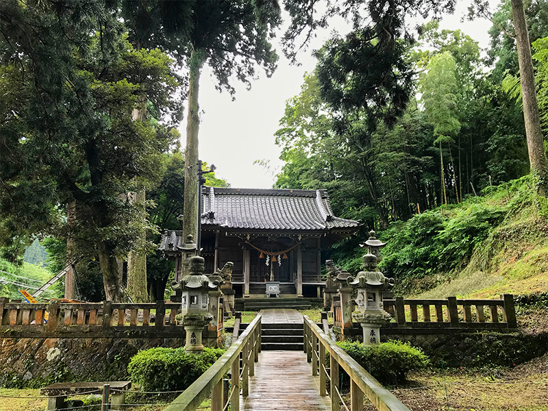 山中温泉・栢野大杉（かやのおおすぎ）