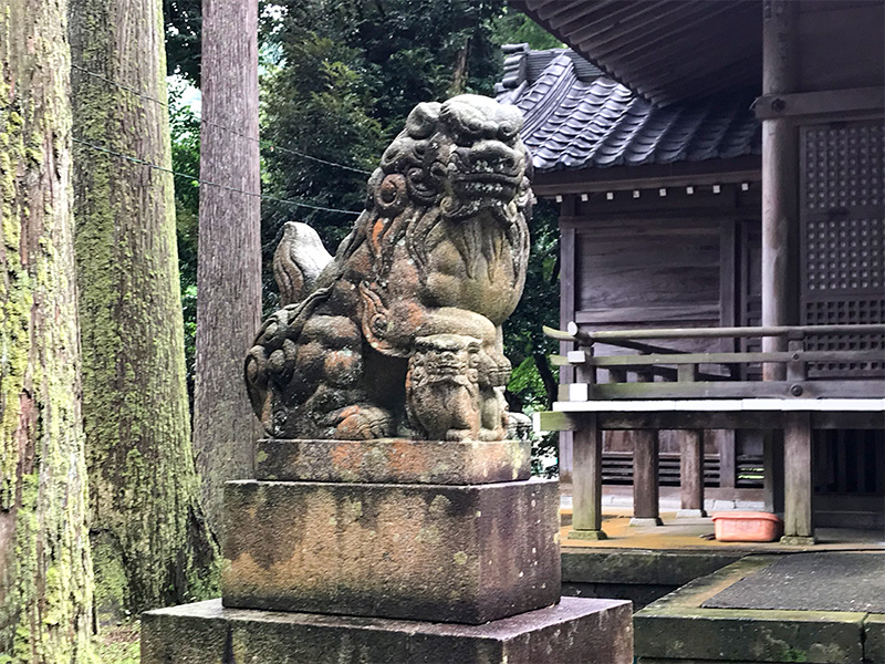 山中温泉・栢野大杉（かやのおおすぎ）