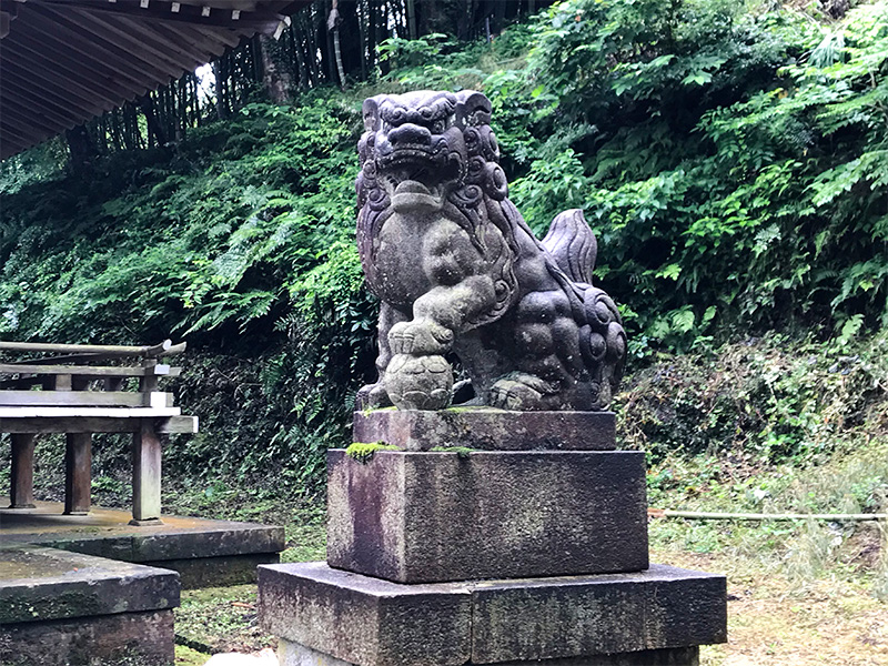 山中温泉・栢野大杉（かやのおおすぎ）