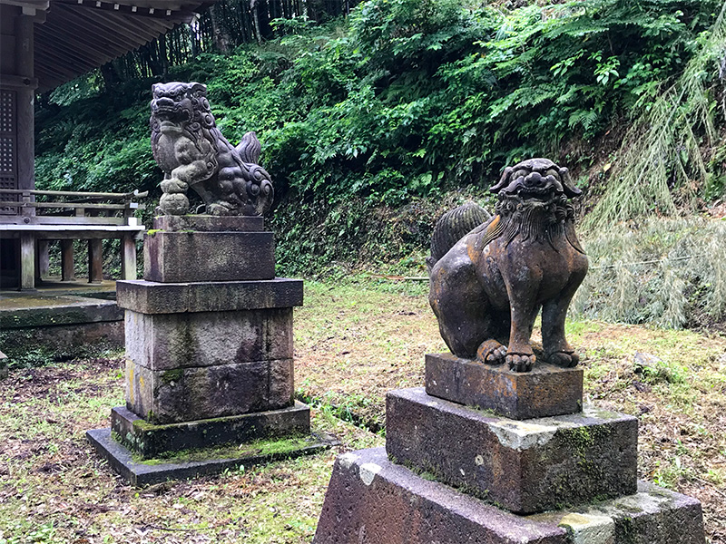 山中温泉・栢野大杉（かやのおおすぎ）