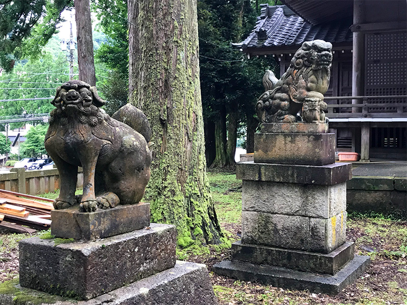 山中温泉・栢野大杉（かやのおおすぎ）