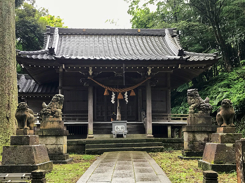 山中温泉・栢野大杉（かやのおおすぎ）