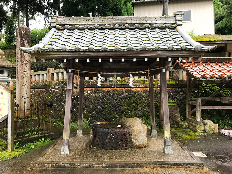 山中温泉・栢野大杉（かやのおおすぎ）