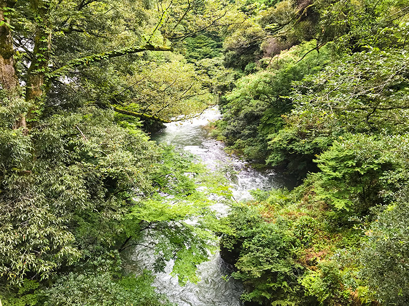 山中温泉料亭「明月楼」