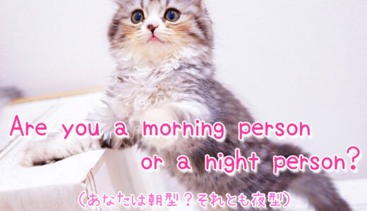 朝型人間や夜型人間は英語でなんと言う？