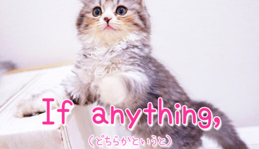 英語で「どちらかというと」は「If anything」