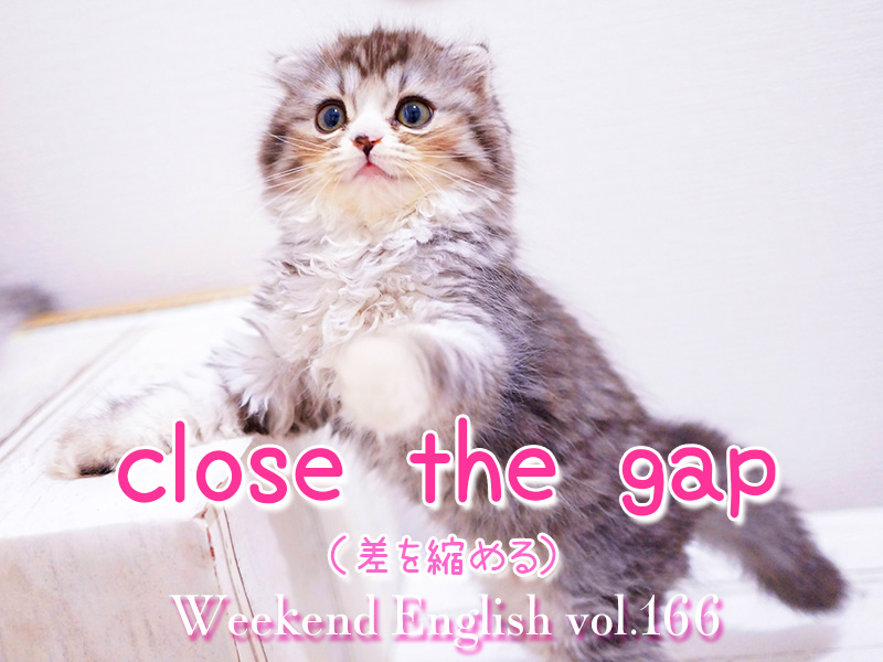 週末英語（weekend english）close the gap：差を縮める