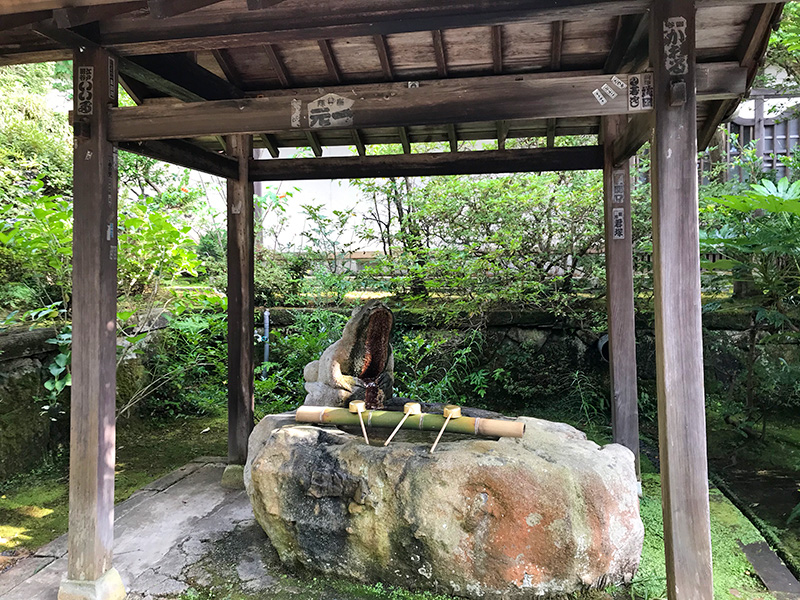 山代温泉薬王院温泉寺